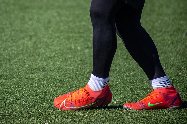 制劳塔罗 制劳塔罗