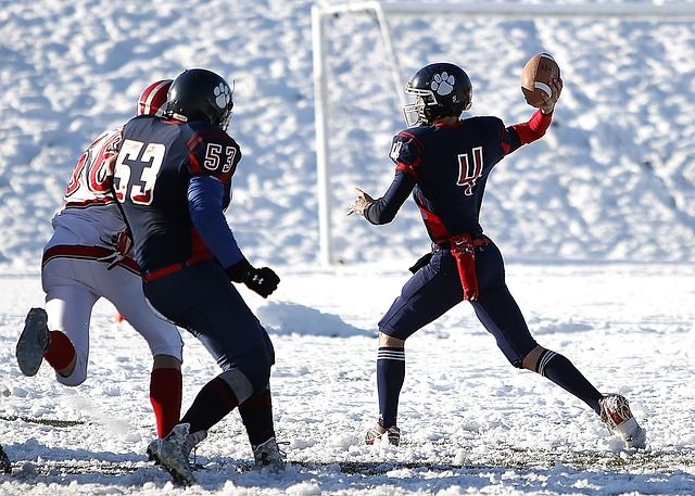 以求为国家 以求为国家