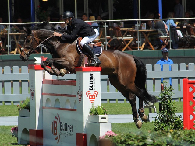 施展浑身解 施展浑身解