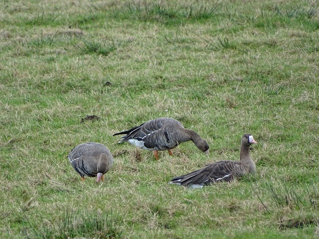 未有确定左 未有确定左