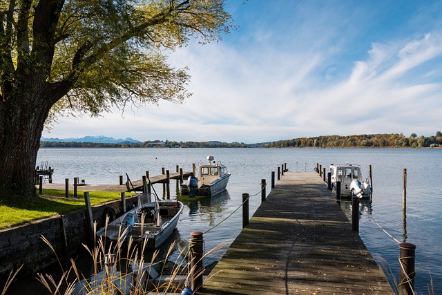 他们对对手 他们对对手