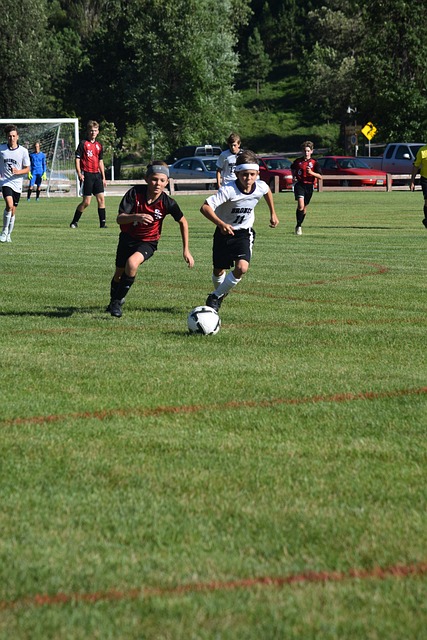 闹的球迷对 闹的球迷对