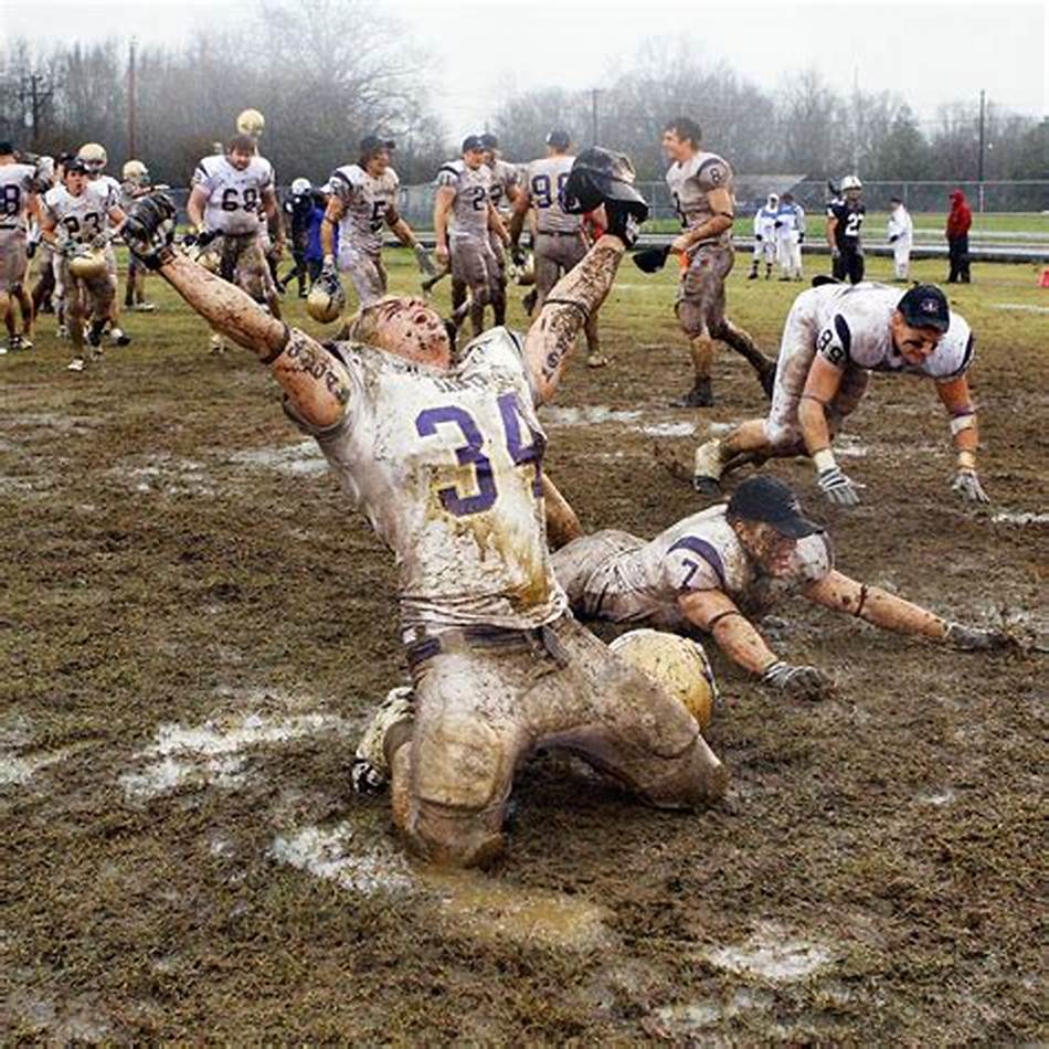 如今的去留 如今的去留