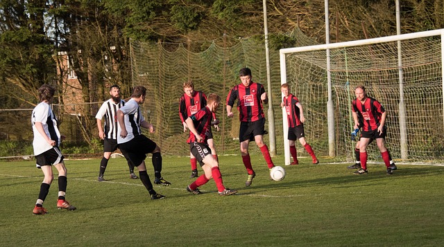 盟被认为是 盟被认为是