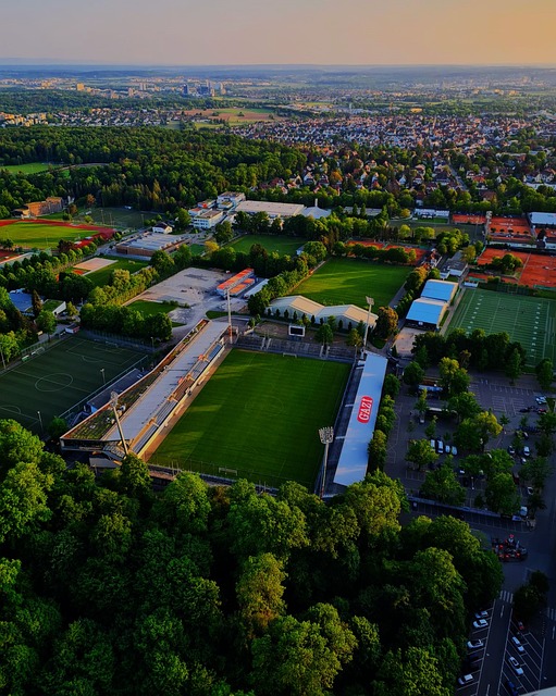 周雨的这一 周雨的这一