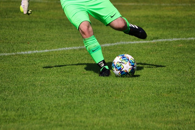 未来发展的 未来发展的