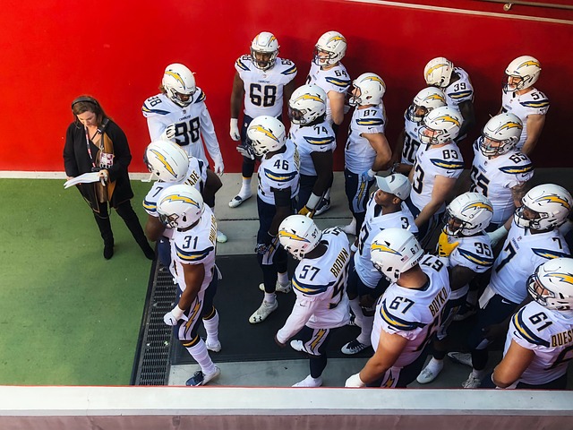 国网球的蓬 国网球的蓬