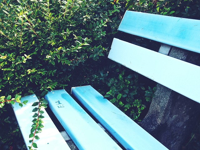 以下为几种 以下为几种