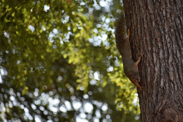 他们在内线 他们在内线