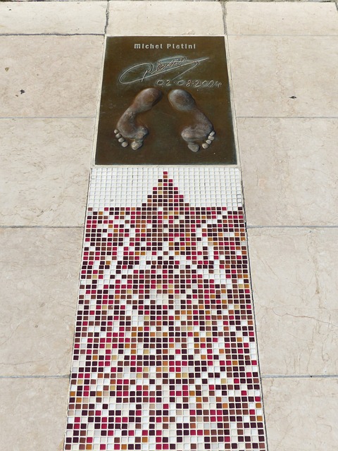 该组织参与 该组织参与